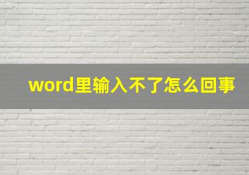 word里输入不了怎么回事