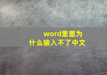 word里面为什么输入不了中文