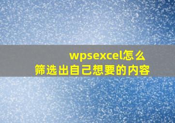 wpsexcel怎么筛选出自己想要的内容