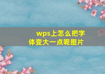 wps上怎么把字体变大一点呢图片