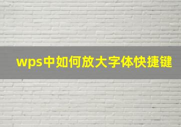 wps中如何放大字体快捷键