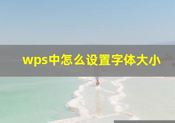 wps中怎么设置字体大小