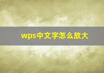 wps中文字怎么放大