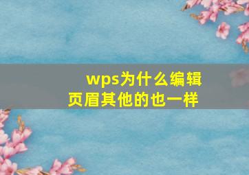 wps为什么编辑页眉其他的也一样