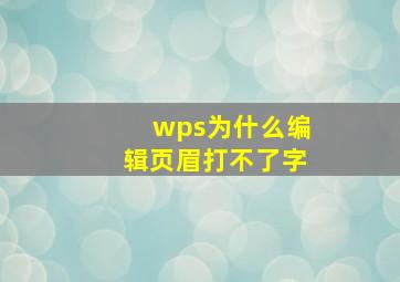 wps为什么编辑页眉打不了字