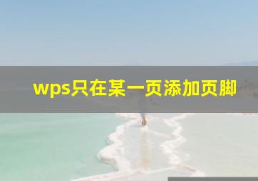 wps只在某一页添加页脚