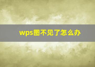 wps图不见了怎么办