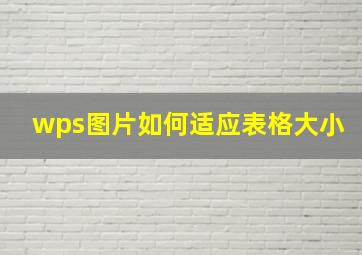 wps图片如何适应表格大小