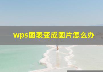 wps图表变成图片怎么办