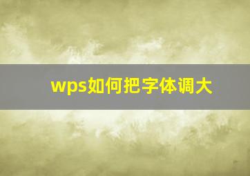 wps如何把字体调大