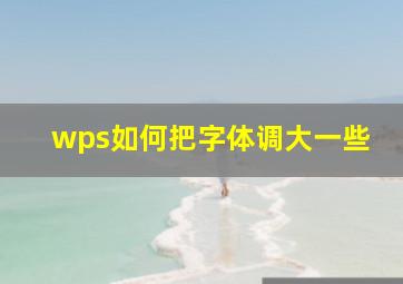 wps如何把字体调大一些