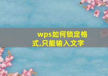 wps如何锁定格式,只能输入文字