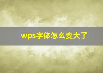 wps字体怎么变大了