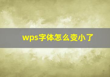 wps字体怎么变小了