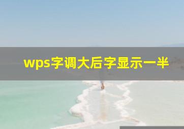 wps字调大后字显示一半