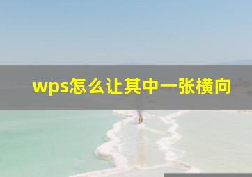 wps怎么让其中一张横向