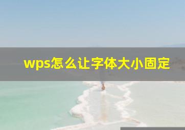 wps怎么让字体大小固定