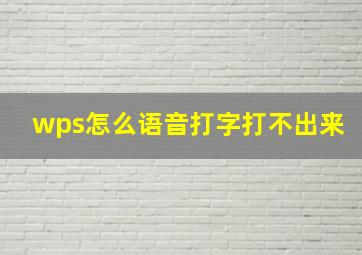 wps怎么语音打字打不出来