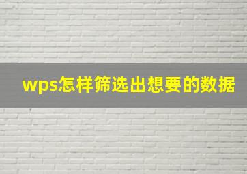 wps怎样筛选出想要的数据