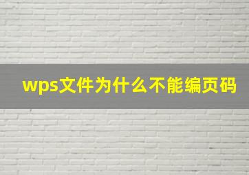 wps文件为什么不能编页码