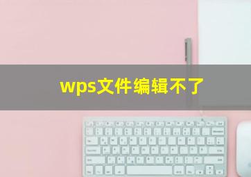 wps文件编辑不了