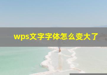 wps文字字体怎么变大了