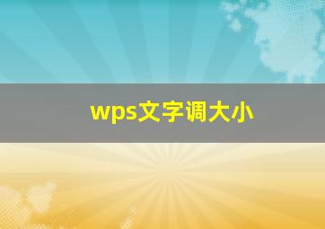 wps文字调大小