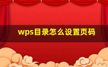 wps目录怎么设置页码