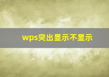 wps突出显示不显示