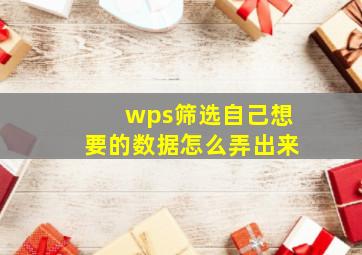 wps筛选自己想要的数据怎么弄出来