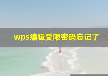 wps编辑受限密码忘记了