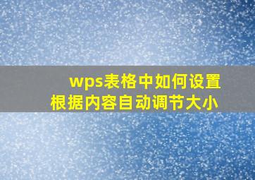 wps表格中如何设置根据内容自动调节大小