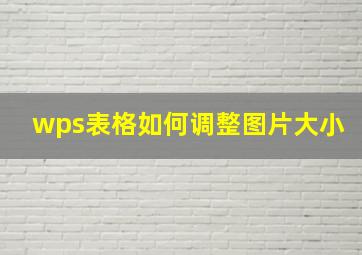 wps表格如何调整图片大小