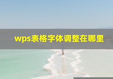 wps表格字体调整在哪里