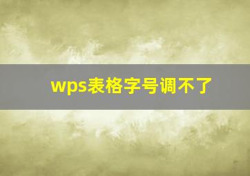 wps表格字号调不了