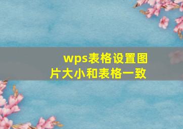 wps表格设置图片大小和表格一致