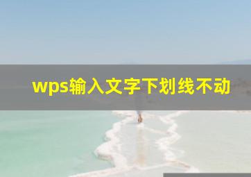 wps输入文字下划线不动