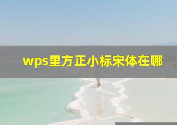 wps里方正小标宋体在哪