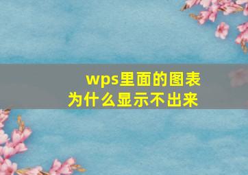 wps里面的图表为什么显示不出来