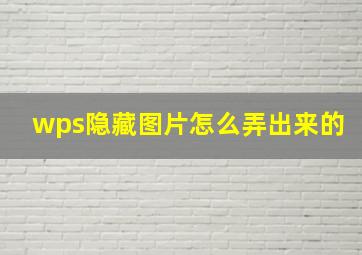 wps隐藏图片怎么弄出来的