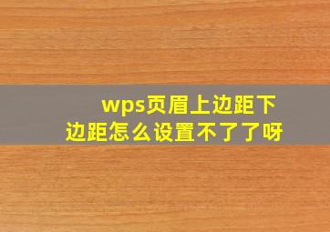 wps页眉上边距下边距怎么设置不了了呀