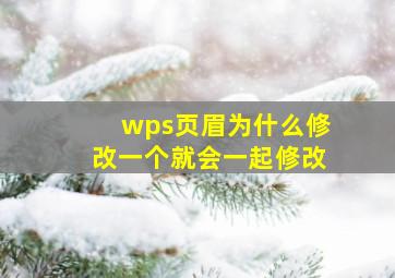 wps页眉为什么修改一个就会一起修改