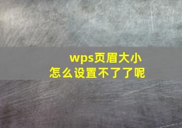 wps页眉大小怎么设置不了了呢