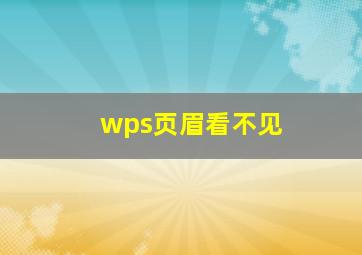 wps页眉看不见