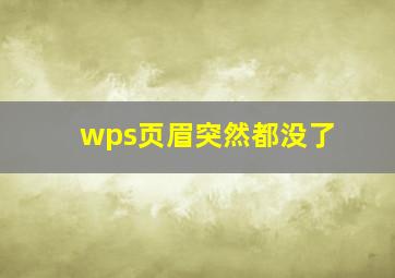 wps页眉突然都没了