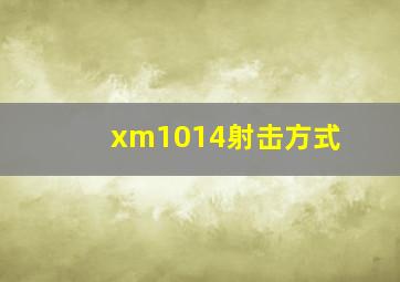 xm1014射击方式