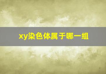 xy染色体属于哪一组