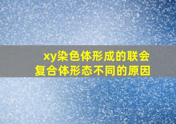 xy染色体形成的联会复合体形态不同的原因