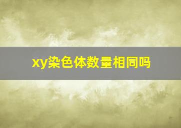 xy染色体数量相同吗