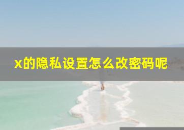 x的隐私设置怎么改密码呢